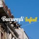 Pe malul Bucurestioarei - Bucuresti Centenar