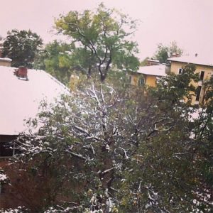 Domenii, mon amour - Bucuresti Centenar