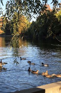 La pas prin Parcul Herastrau, Olivia Nita - Bucuresti Centenar