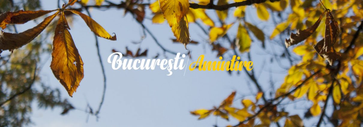 Veronica Soare - Bucuresti Centenar