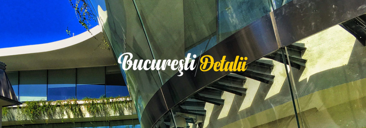 gabriela cristina minescu - bucuresti centenar