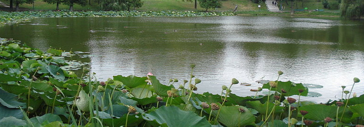 parcul circului - bucuresti centenar
