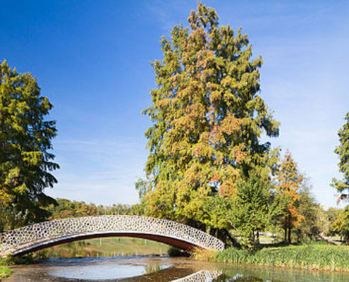 Parcul tineretului - bucuresti centenar