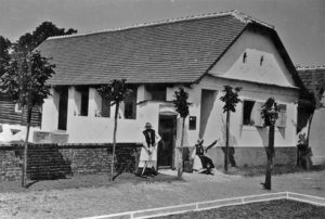 Muzeul Satului - bucuresti centenar