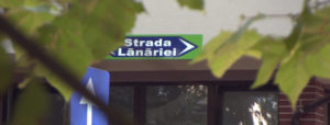 bucuresti centenar - strada lanariei