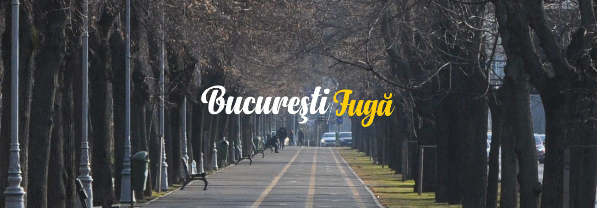 liviana tane - bucuresti centenar