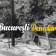 marina constantinoiu - bucuresti centenar