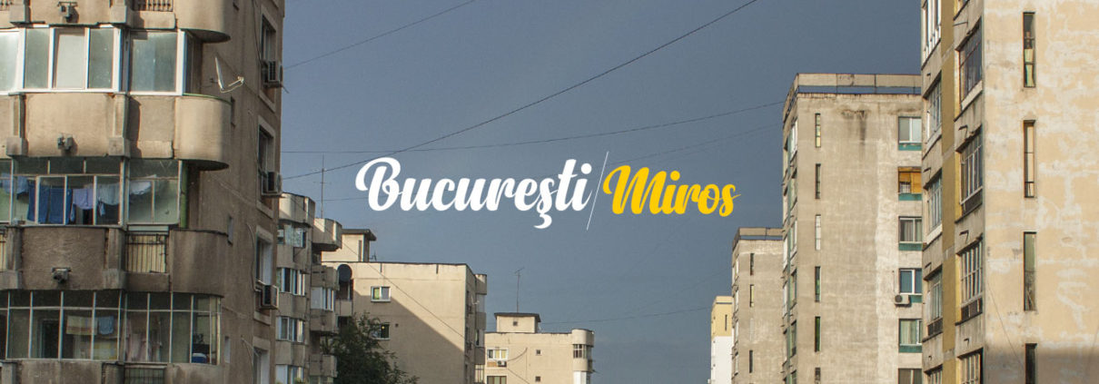 mihaela apetrei - bucuresti centenar