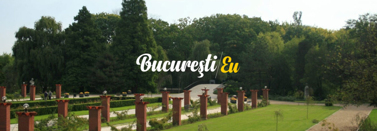 alina ion - bucuresti centenar