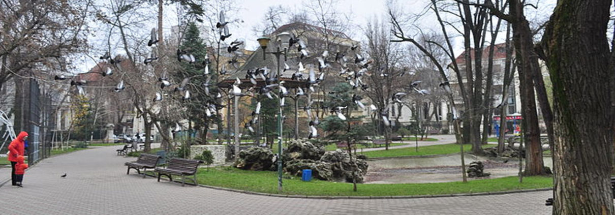 parcul ion voicu ioanid - bucuresti centenar
