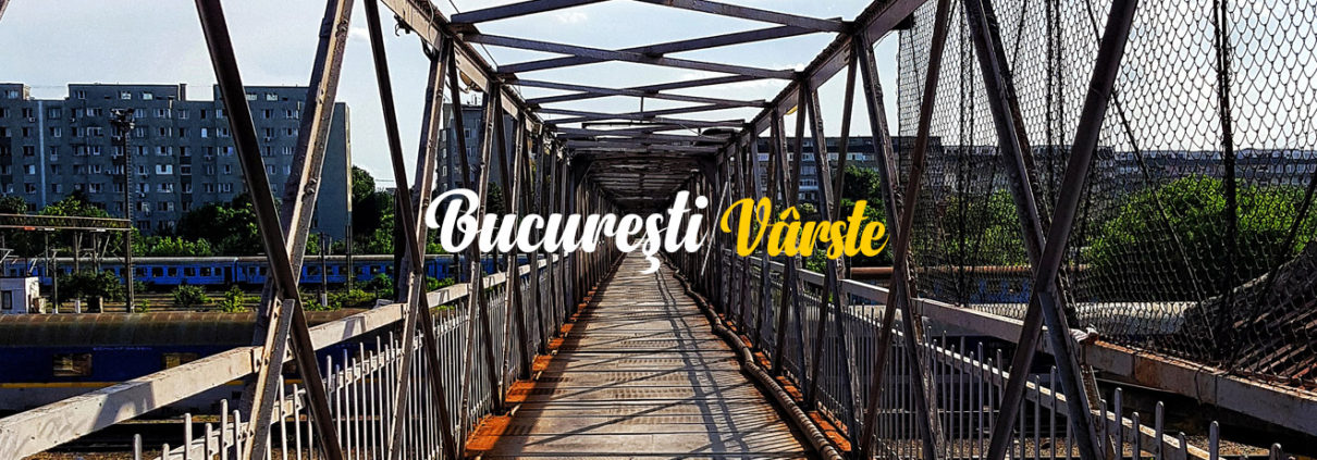 Raluca Ioana Ghinea - bucuresti centenar